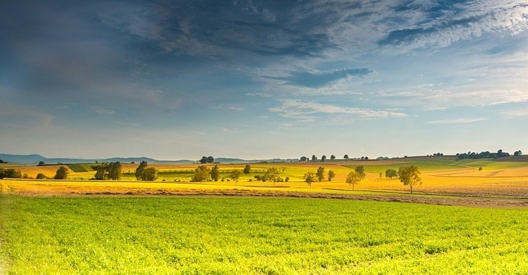 ¿Por qué invertir en finca rústica puede resultar tan rentable?