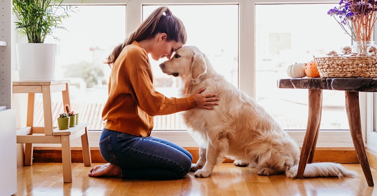 Fundación Affinity y Fotocasa muestran la dificultad que tienen las personas que conviven con un perro o un gato para alquilar un piso