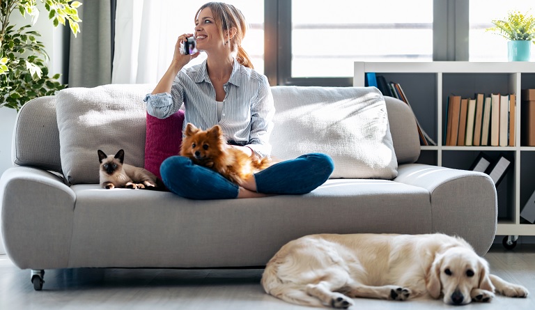 El 58% de los propietarios de viviendas aceptaría inquilinos con perros o gatos, pero solo un 4% lo publica en el anuncio