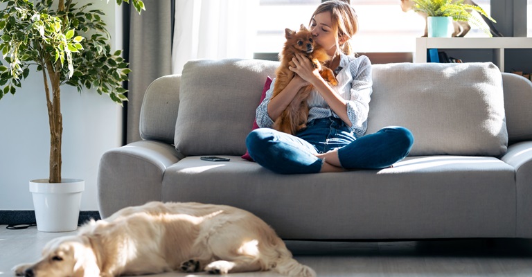 La ciudad de Madrid está mejor valorada para vivir con mascota que  Barcelona