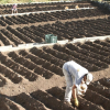 fincas rústicas