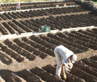 fincas rústicas