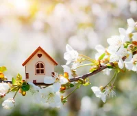 primavera inmobiliaria fotocasa pro